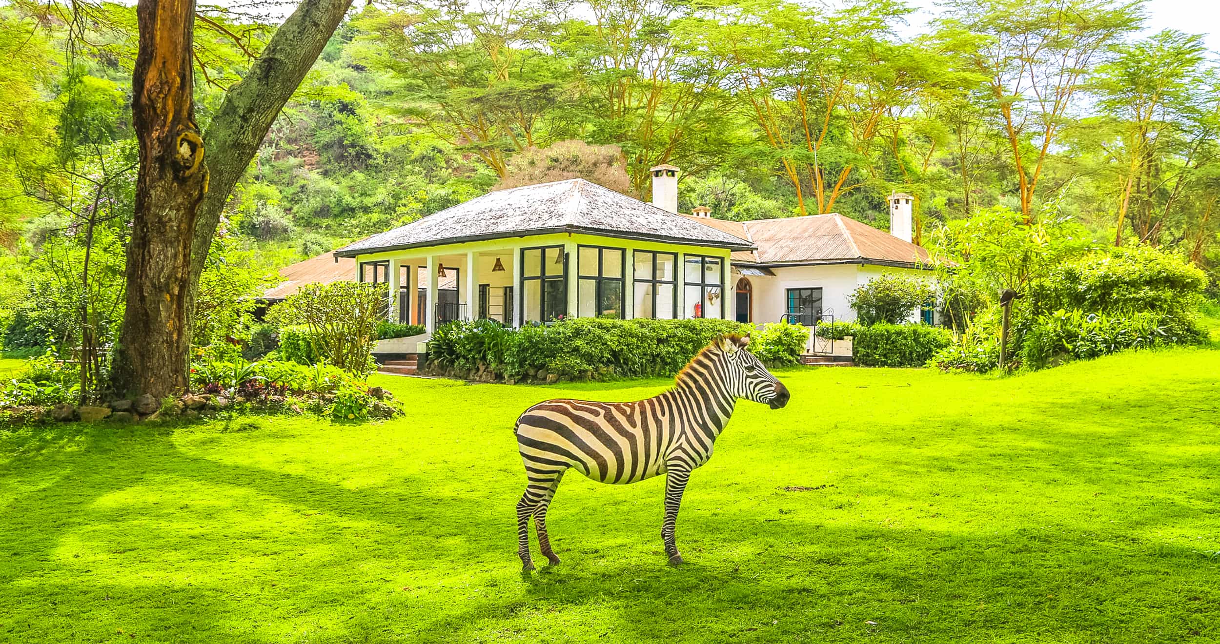 Bilashaka Lodge
